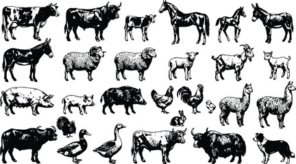 Naklejka premium Farm animals gathered in an antique engraving style with a clean white background for commercial concept backgrounds