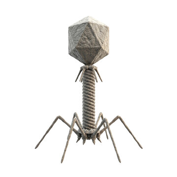 Bacteriophage T2 Virus Isolated Transparent Background
