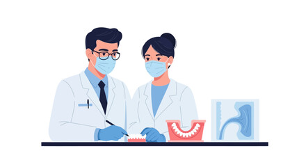 Fototapeta premium Dentist and assistant examining teeth model, dental care concept