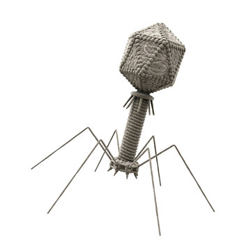 Bacteriophage T2 Virus Isolated Background