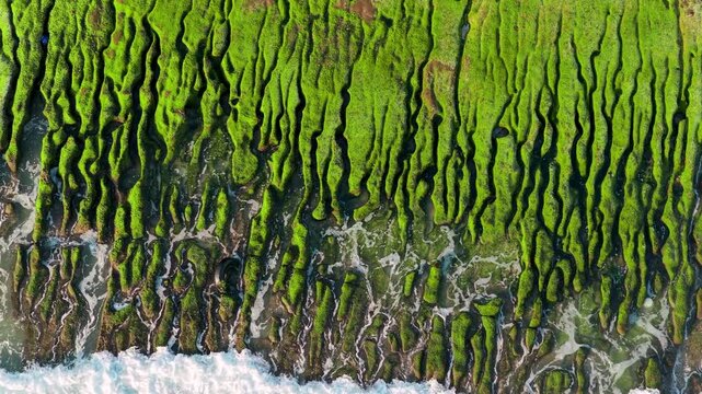 Aerial view of green reef and beach in Taiwan