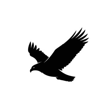 Silhouette of a Flying Bird with Spread Wings.