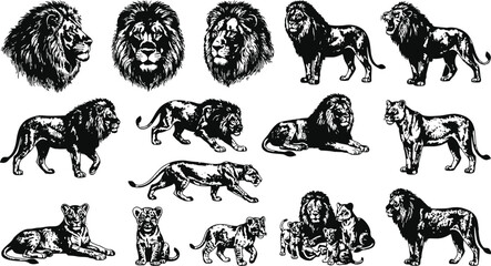 Wild feline creatures in a dynamic engraving style during a dramatic black and white composition for graphic design © Mahi Fattah