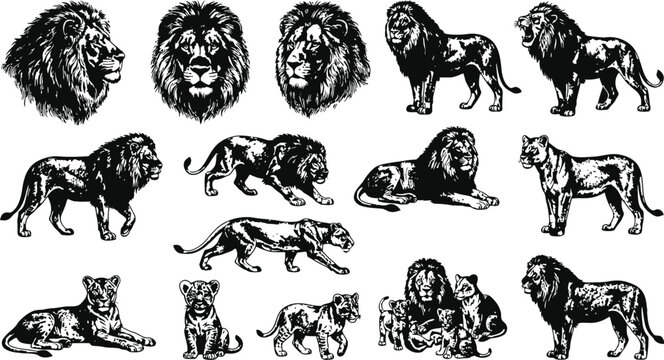 Wild feline creatures in a dynamic engraving style during a dramatic black and white composition for graphic design