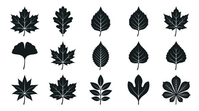 Collection of Diverse Autumn Leaf Silhouettes
