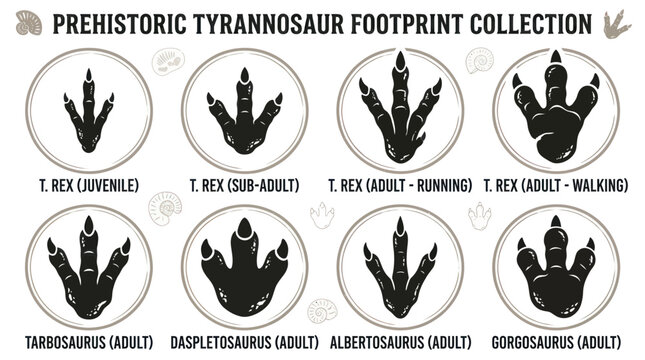 Prehistoric Tyrannosaur Footprint Collection: Juvenile to Adult Dinosaur Tracks