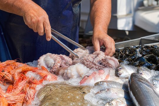 Seafood vendor hands arranging fresh raw octopus and fish on ice bed at outdoor market stall, showcasing vibrant healthy Mediterranean ingredients.