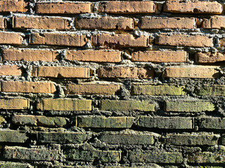 Naklejka premium Full-frame view of an exposed red brick wall with green moss