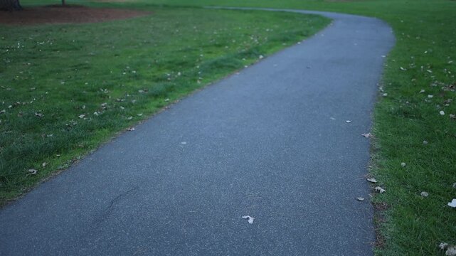 Winding paved path through a green grassy park