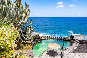 Naklejka premium Large green cacti and wild flowers overlook a clear turquoise natural sea pool on the rocky coast at Charco Azul, La Palma, Canary Islands, Spain