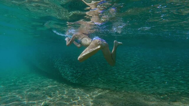 Young woman swimming near shimmering bait ball of Silversides Atherina fish. Bright sun rays illuminate scene, making water and fish sparkles.