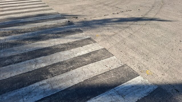 High Angle View of a Zebra Crossing on Concrete Road with Tree Shadows
