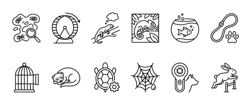 Twelve minimalist line art icons representing pets, animals, and veterinary concepts, showing a jumping rabbit, sleeping ferret, fish in a bowl, chameleon, and a microchip scanner