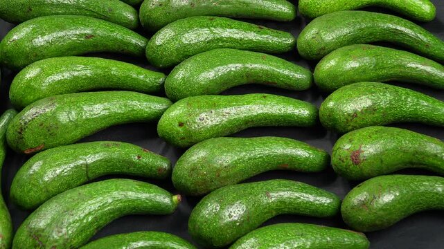 Full frame texture background of many fresh organic whole long green avocados.