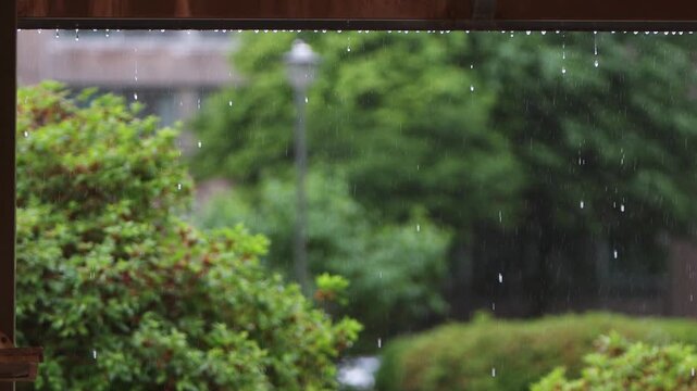 Raindrops falling under the roof eaves and the scenery of rain, rain falling on a green garden and relaxing rain sounds ASMR
