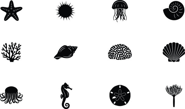 Nautical icons including starfish sea urchin jellyfish and seahorse in a clean graphic style