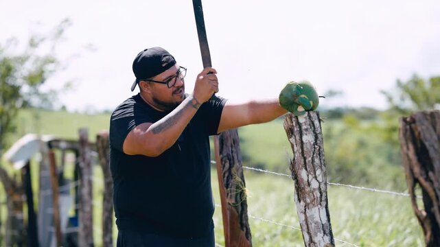 Muscular farmer opening a fresh green coconut with a large machete. This young man skillfully handles the blade in a lush, rural setting