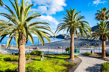 Naklejka premium Tall palm trees stand in a green garden overlooking a dark volcanic sand beach and the blue ocean in Puerto Naos town, La Palma, Canary Islands, Spain