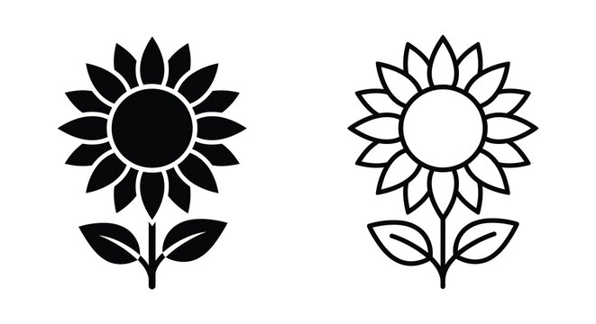 Sunflower Silhouette And Line Art On White Background