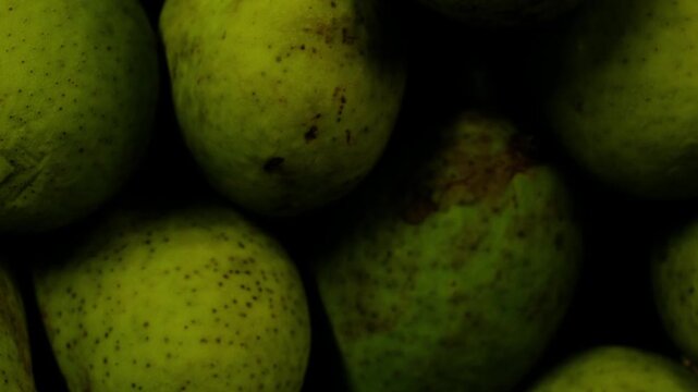 Green Mango at Jakarta Traditional Market - Natural Imperfect Tropical Fruit Indonesia