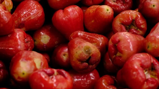 Rose Apple (Jambu Air) at Jakarta Traditional Market - Red Bell-Shaped Tropical Fruit Indonesia