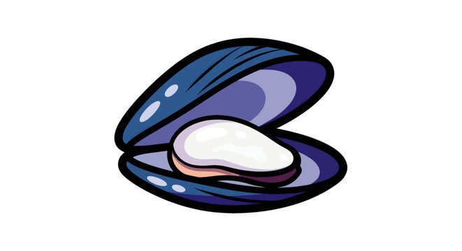 Illustration of a mussel shell.