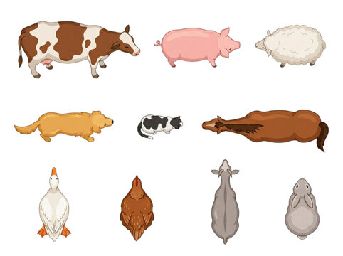 Top View Farm Animals and Domestic Pets Vector Set for CAD Architectural Site Plan Renderings