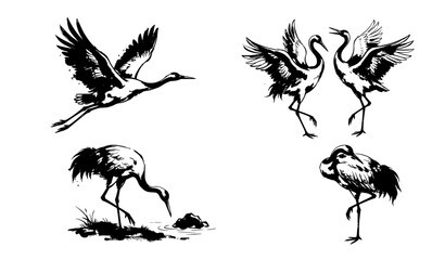 Obraz premium Hand Drawn Crane Birds Chinese Ink Painting Style Vector Collection