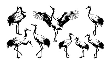Obraz premium Chinese Ink Wash Crane Bird Collection Hand Drawn Vector Illustration Set