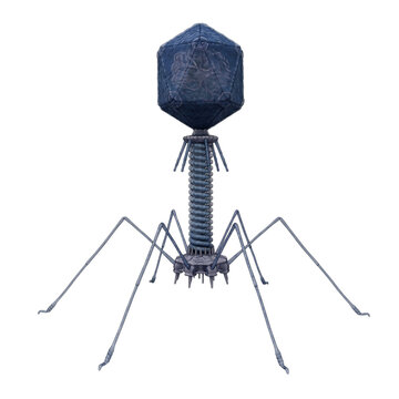 Bacteriophage T2 Virus Isolated Background
