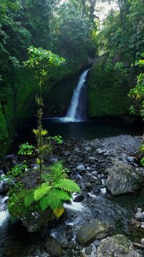 Aerial view of a hidden waterfall deep within the lush tropical rainforest of Mount Daun, Indonesia. Surrounded by dense green jungle vegetation, the pristine cascade flows into a dark natural pool