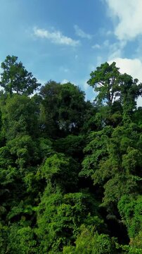 Aerial view of a hidden waterfall deep within the lush tropical rainforest of Mount Daun, Indonesia. Surrounded by dense green jungle vegetation, the pristine cascade flows into a dark natural pool