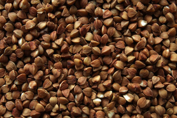 Fototapeta premium Raw buckwheat grains macro texture top view