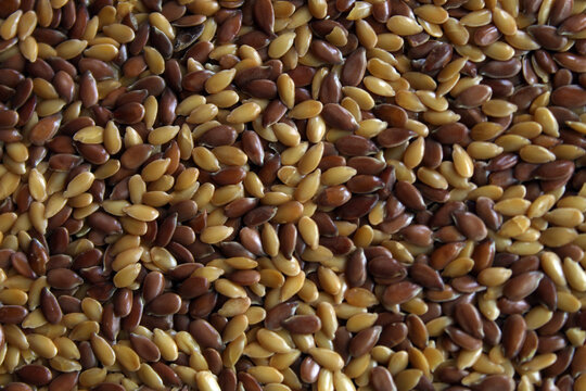 Mixed flax seeds macro texture brown and golden linseed