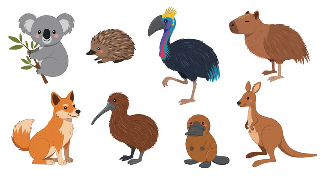 Diverse collection of unique Australian wildlife including kangaroo, koala, platypus, emu, and dingo in colorful cartoon style art.