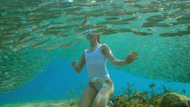 Girl freediver in white equipment watching massive spawning migration from inside school. Sitting on seabed, she is encircled by an endless, rotating chain, silver vortex flow of Atherina fish