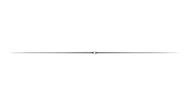 Elegant decorative horizontal divider line