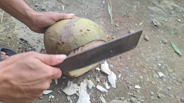 young coconut being peeled