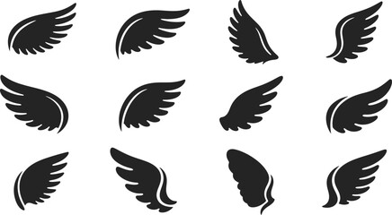 Fototapeta premium Black wing on white background, for and decoration, wings symbols