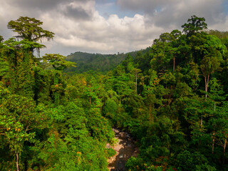 Aerial view of a hidden waterfall deep within the lush tropical rainforest of Mount Daun, Indonesia. Surrounded by dense green jungle vegetation, the pristine cascade flows into a dark natural pool, s © rahmadhimawan