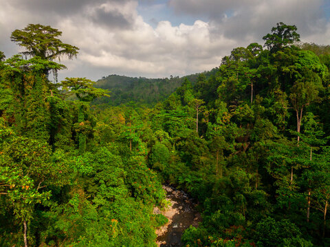 Aerial view of a hidden waterfall deep within the lush tropical rainforest of Mount Daun, Indonesia. Surrounded by dense green jungle vegetation, the pristine cascade flows into a dark natural pool, s
