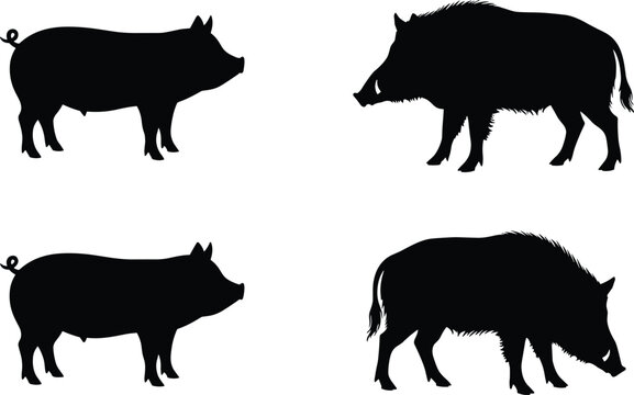 Domestic Pig and Wild Boar Silhouette Collection for Farm Animal Wildlife Hunting and Rustic Nature Design Projects