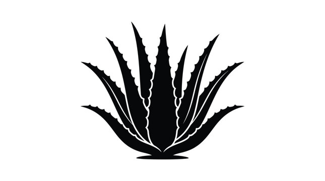 black agave plant silhouette on white background spiky leaves botanical nature graphic