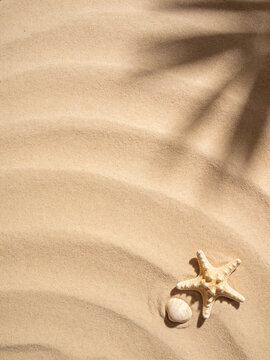 Beach Sand with Seashell and Copy Space