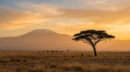 African safari landscape with elephants and Kilimanjaro at sunset © Marina