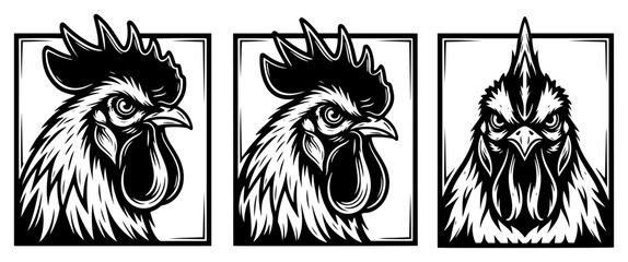 Rooster head portraits showing side and front profiles in aggressive woodcut engraving style © AnimalZOO