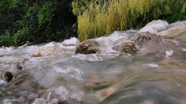 A close-up of a turbulent mountain river. A fast-flowing mountain river in a forest. The camera is positioned to the side of the river.