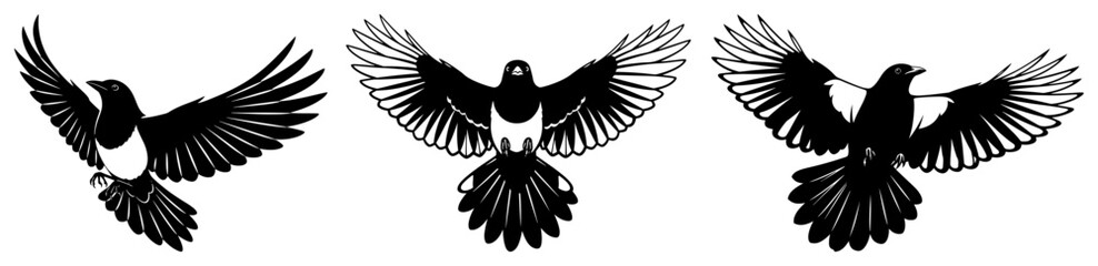 Fototapeta premium Magpie birds in flight with spread wings in graphic silhouette style