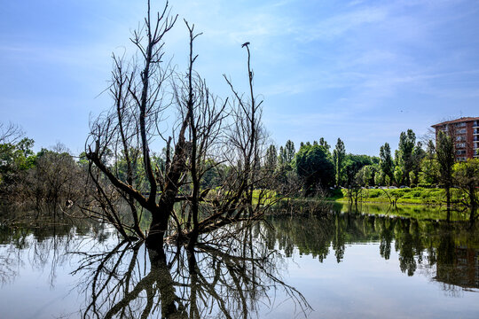 Milano, parco Lambro