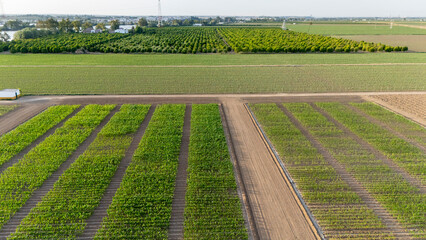 Agricultural research farm developing new crops in Coria del Rio